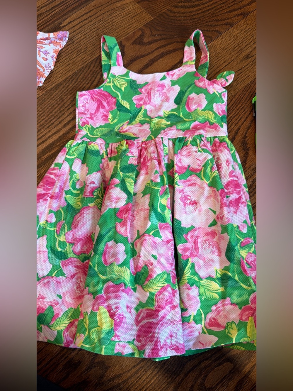 Janie and Jack Pink Floral Dress with Green Leaves